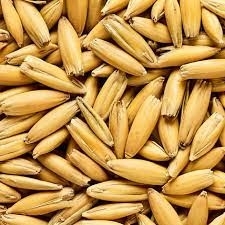 malt avoine